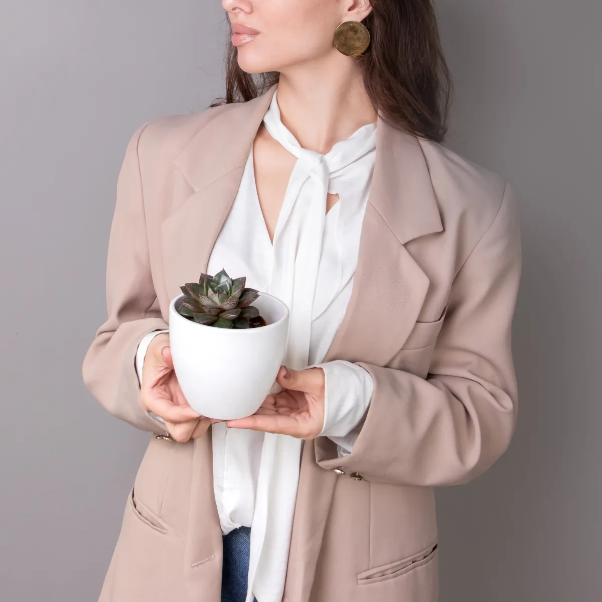 Эхеверия Мексико_2