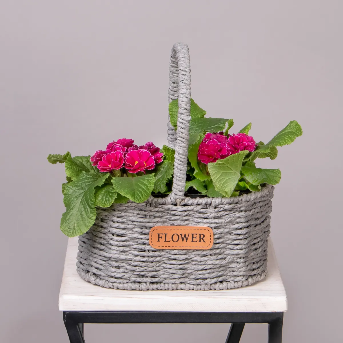 Примула Фуксия в Серой двойной корзине_1