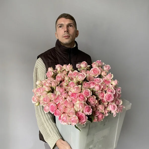 Роза_кустовая "Динара"