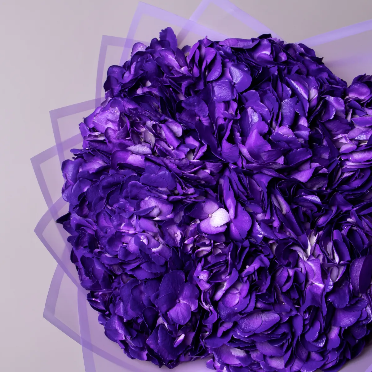 Букет Гидрангия "Грэйп Перпл"