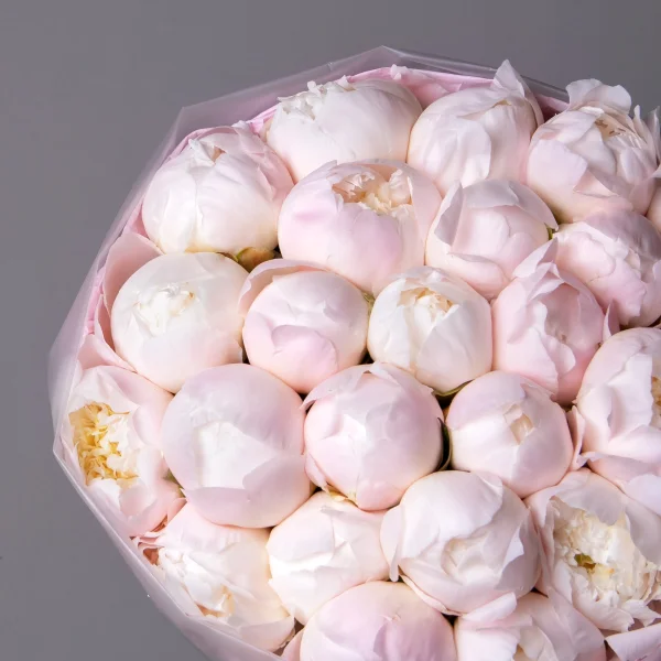 Букет Пион "Принцесс Брайд"_3