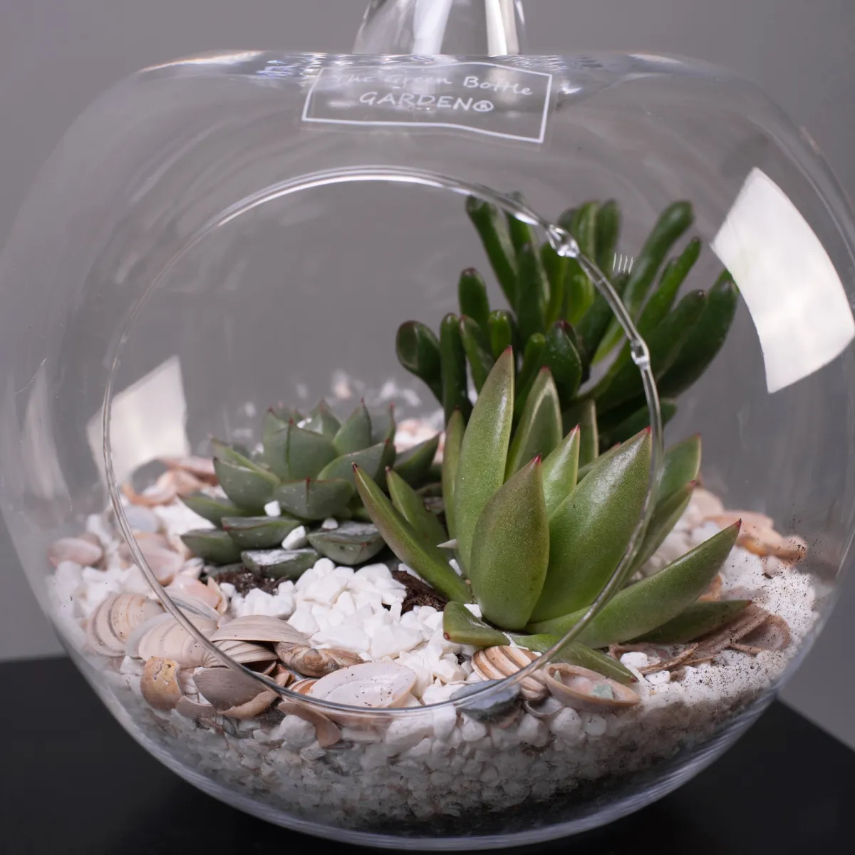 Суккулент Композиция в стекле Яблоко