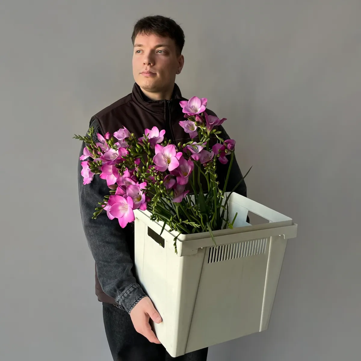 Фрезия "Эн Ван Пинк"_2