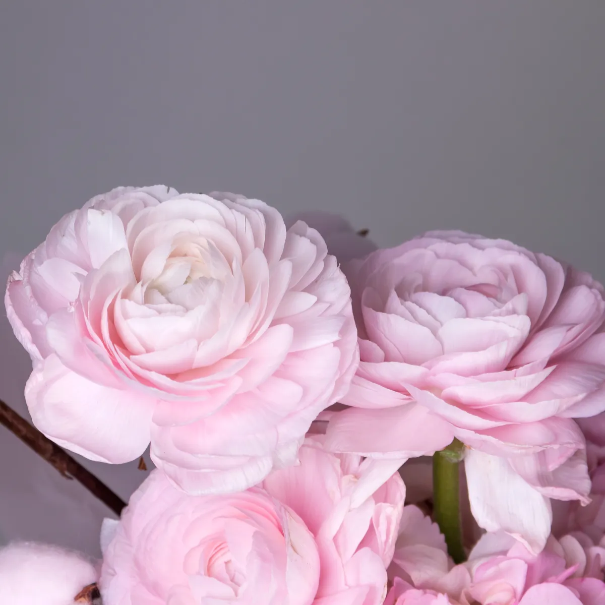 Композиция "Пастельная мелодия"_6