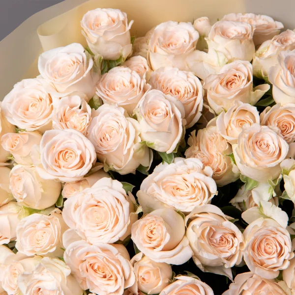 Букет Роза кустовая "Софи"_3