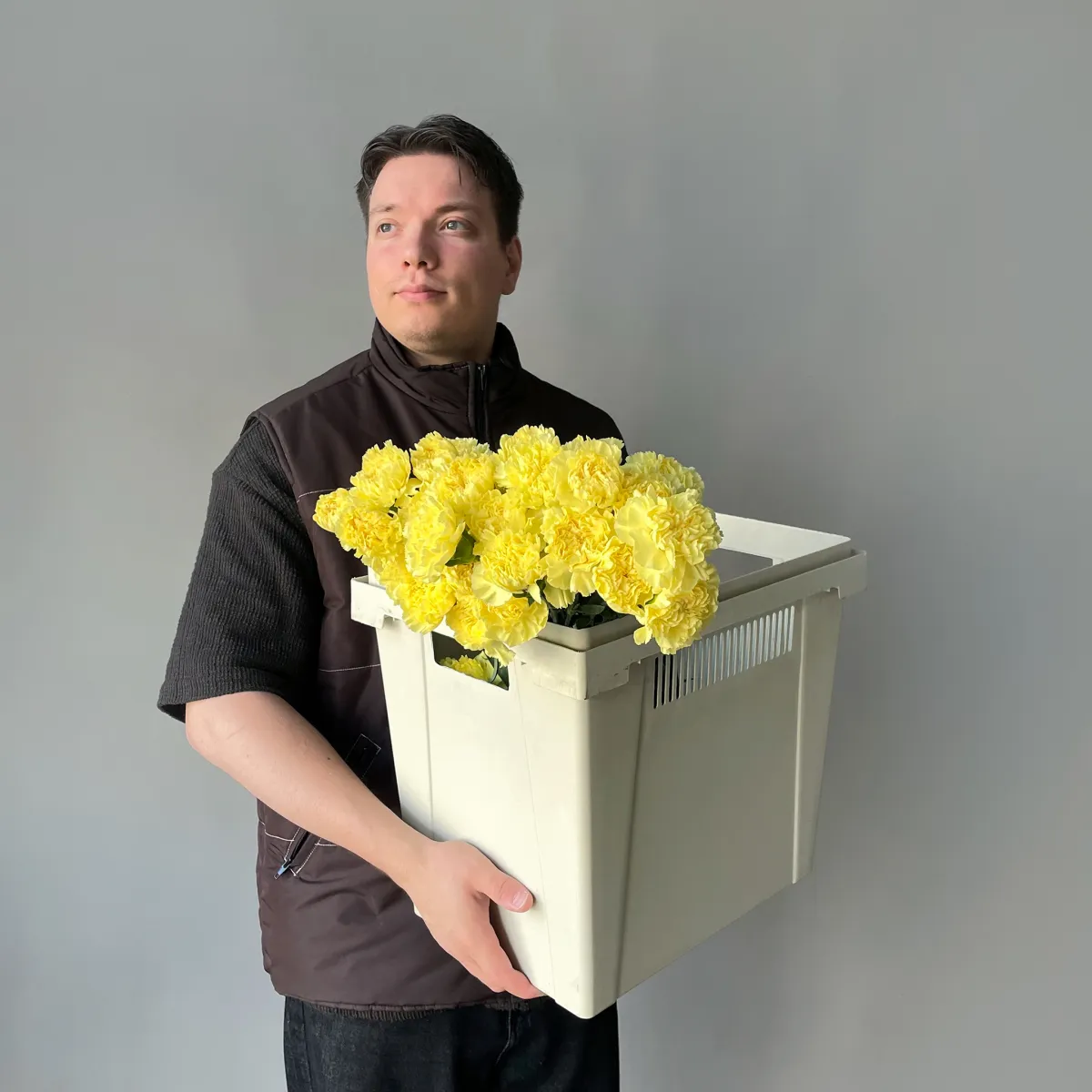 Гвоздика "Йеллоу"_2