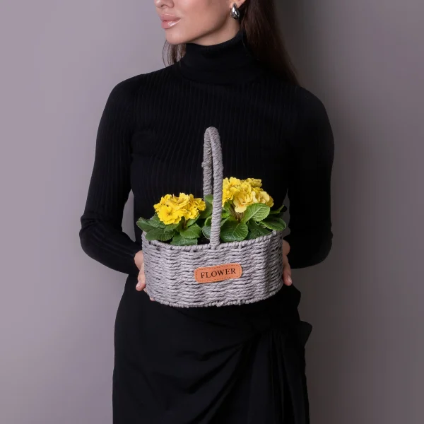 Примула Желтая в Серой двойной корзине_1