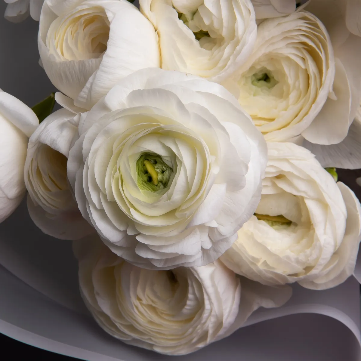 Букет Ранункулус "Элеганс Вайт"_4