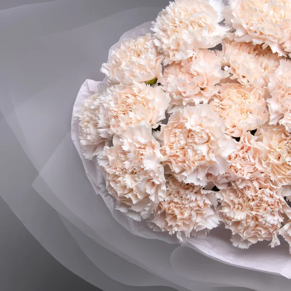 Букет Гвоздика "Брют"