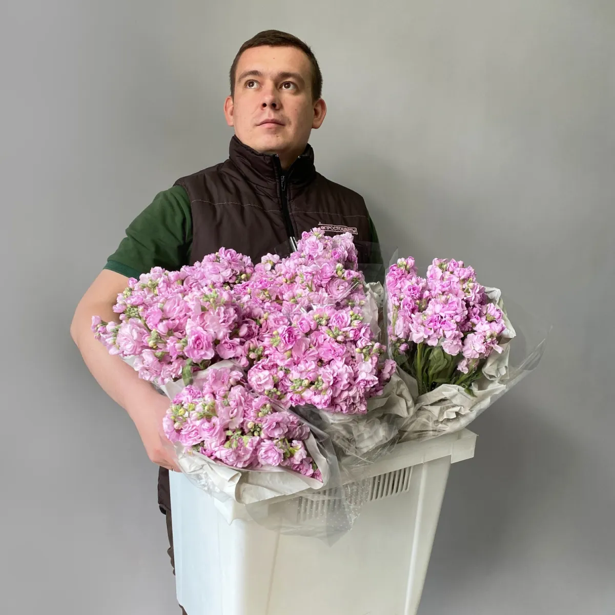 Маттиола_кустовая "Розовая"