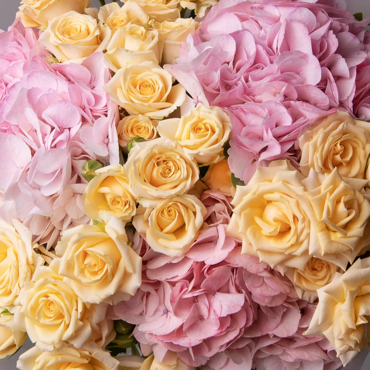 Флористический букет "Дуобукет из розовой гортензии и кустовой розы"_4