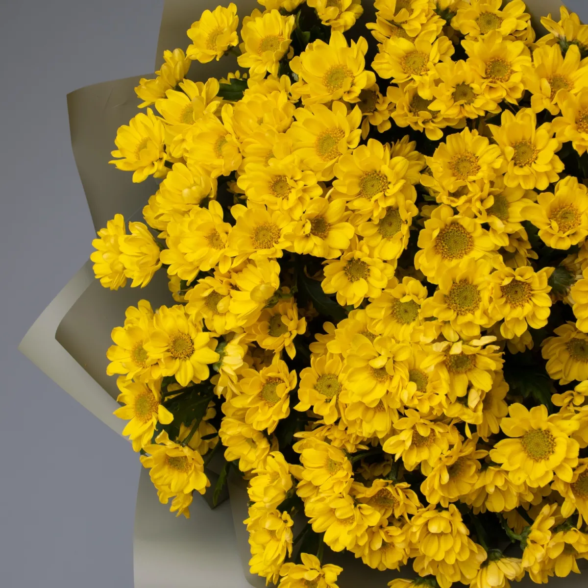 Букет Хризантема_сантини "Росси Санни"