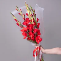 Букет Гладиолус 
