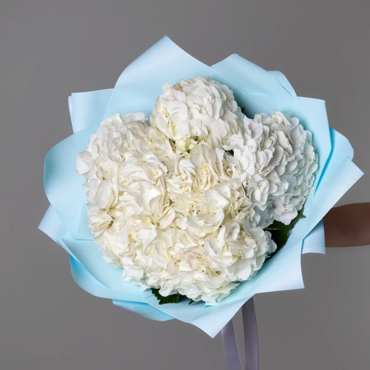 Букет Гортензия "Белая" 