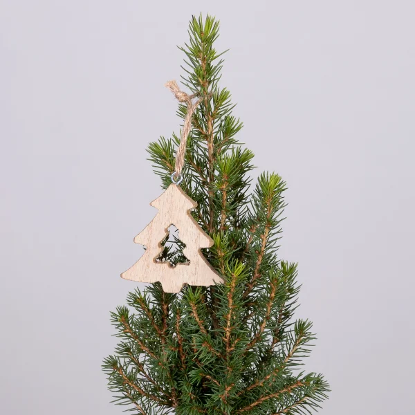 Ель Коника в коре с елочкой PTK24362_3