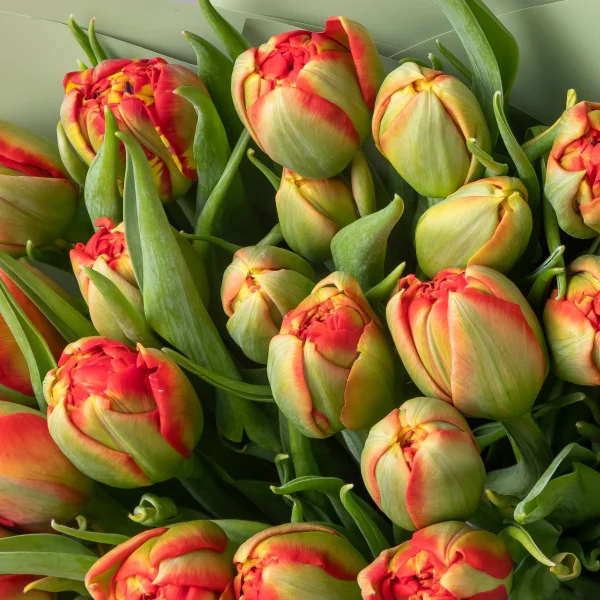 Букет Тюльпан "Ду Эдендейл"_3