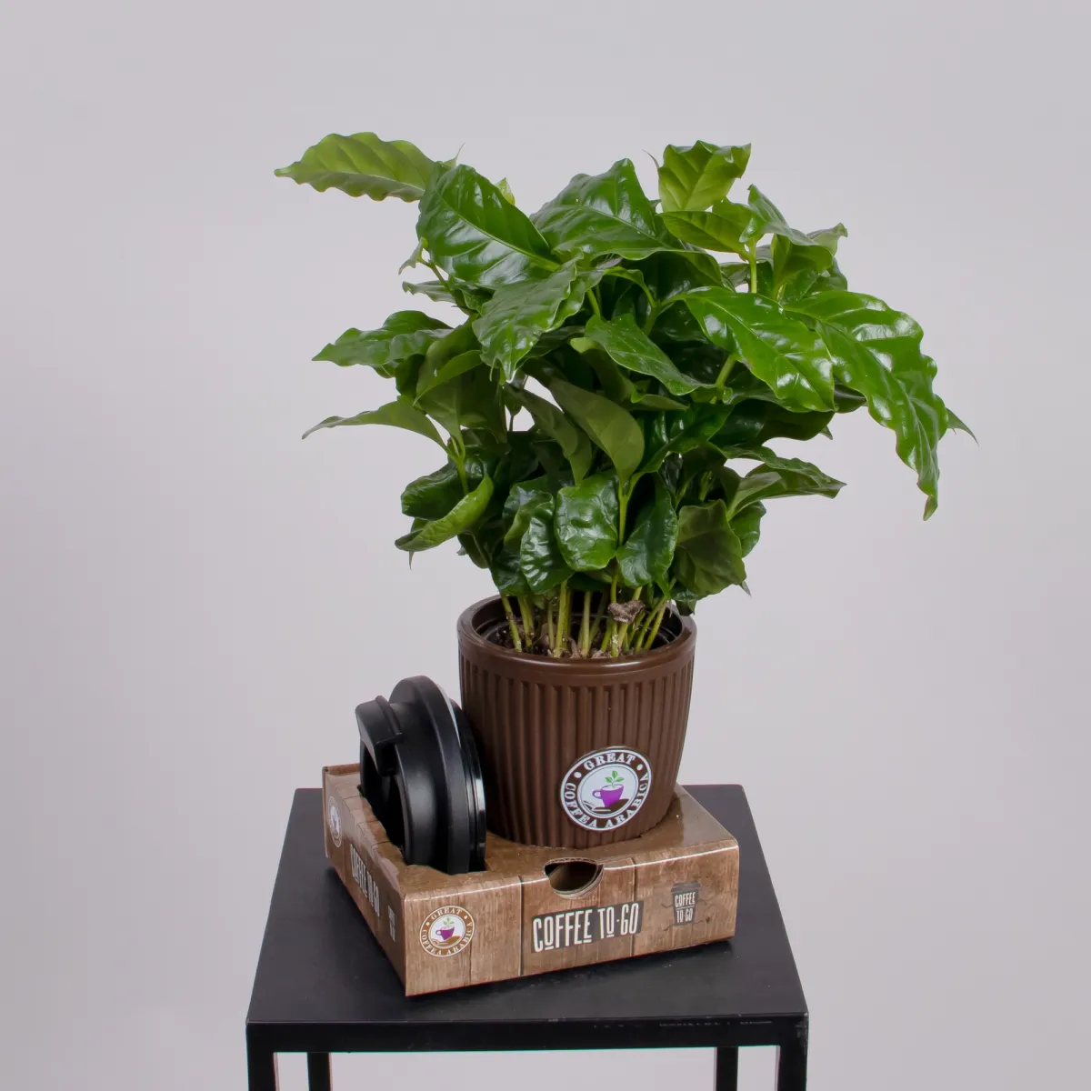 Кофе "С Собой" в кружке_4