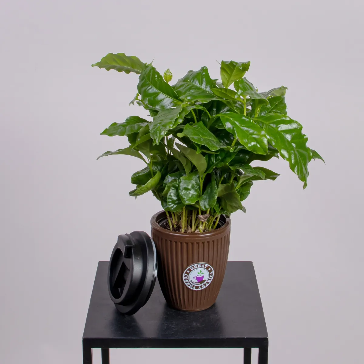 Кофе "С Собой" в кружке_1