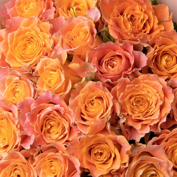 Букет Роза "Луиза"4