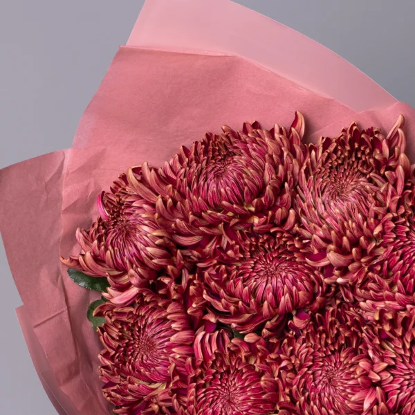 Букет Хризантема одноголовая "Бигоди Ред"_3