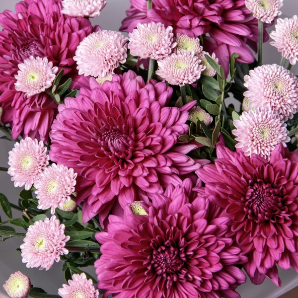 Флористический букет "Дуобукет из одноголовой хризантемы Ламира и сантини"_4