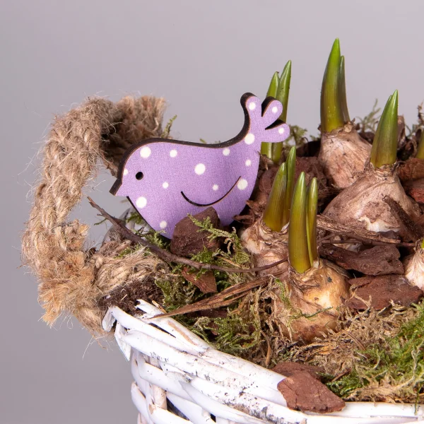 Мускари в белой корзине с ручками PTMB1143_3