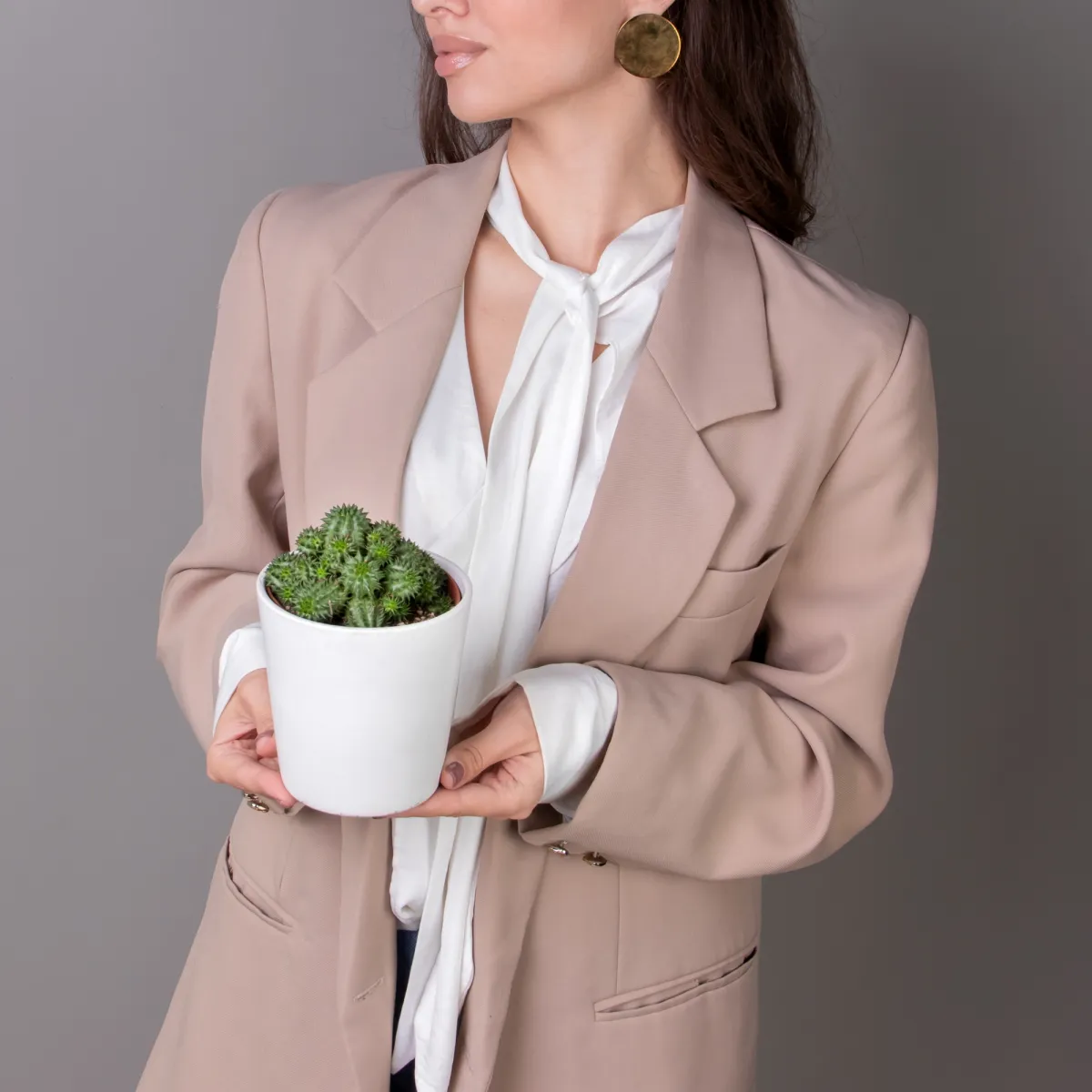 Эуфорбия Сюзанна_2