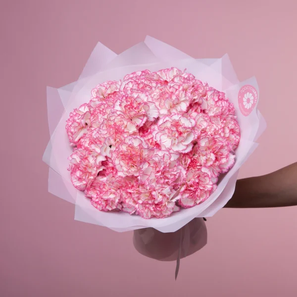 Букет Гвоздика "Микс"