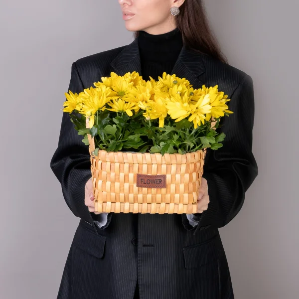 Хризантема Маргарита Желтая  в Натуральной корзине_2
