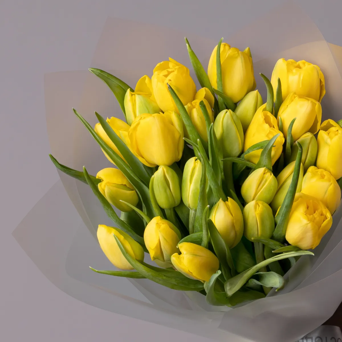 Флористический букет «Тюльпан, 25 шт, Желтый»_3
