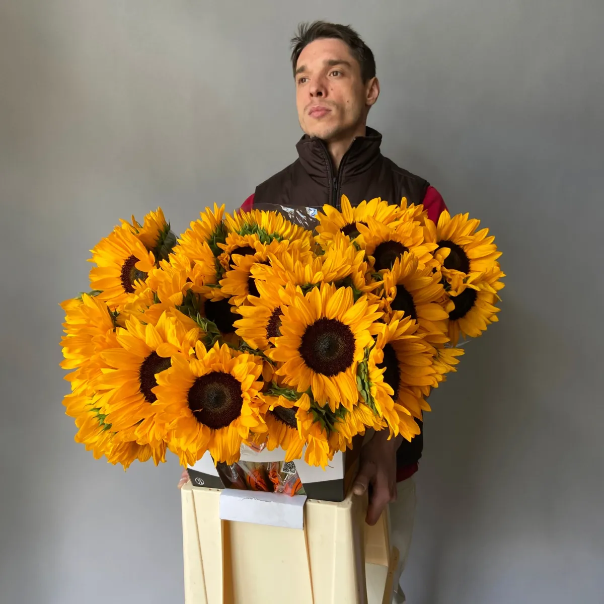 Гелиантус "Оранж Фаер"