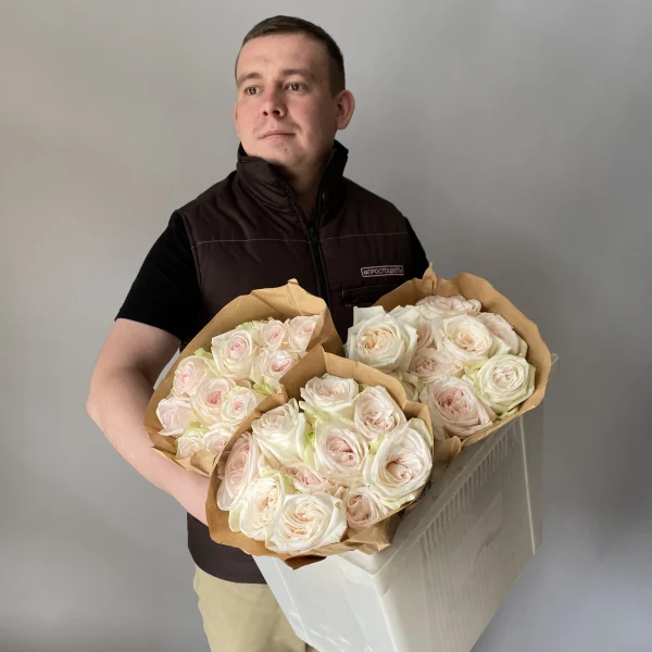 Роза_пионовидная "Вайт О'Хара"