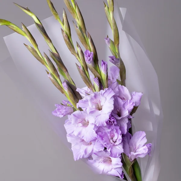 Букет Гладиолус "Милка"_4