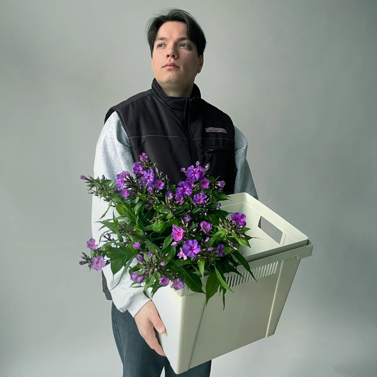 Флокс "Ван Гог"_2