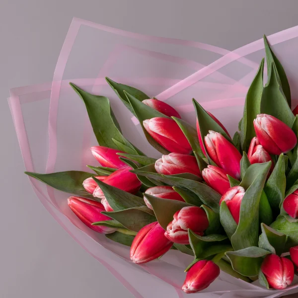 Букет Тюльпан "Эн Оутфит"_3