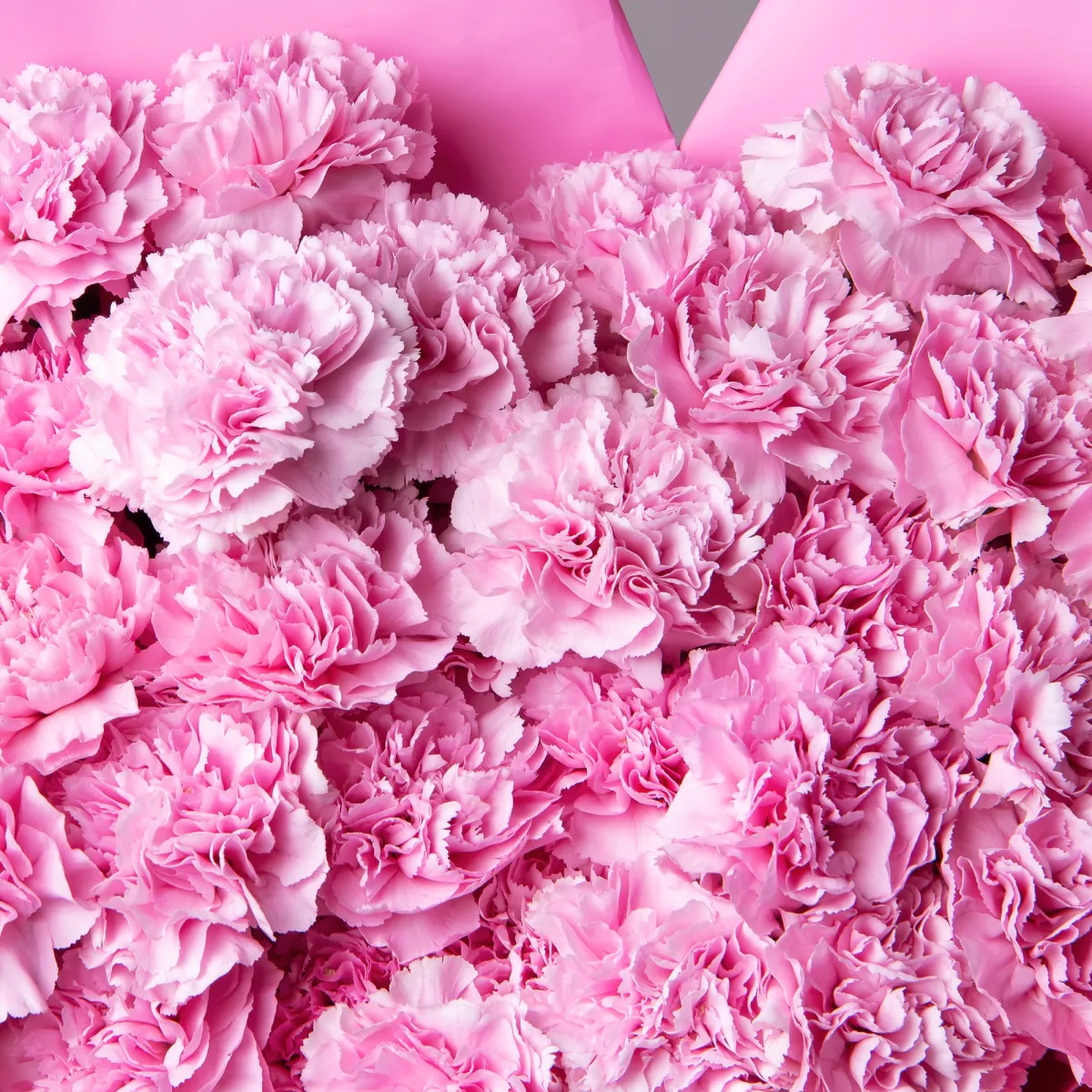 Букет Гвоздика "Клеавотер"_4