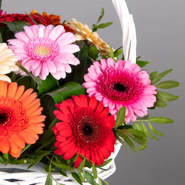 Композиция "Улыбка"_4