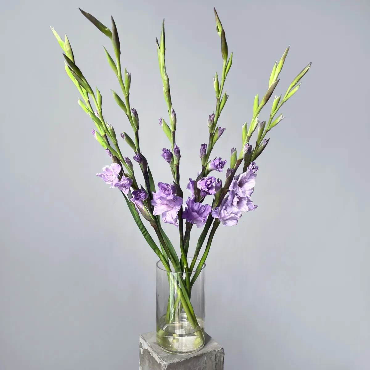 Букет Гладиолус "Милка"_3