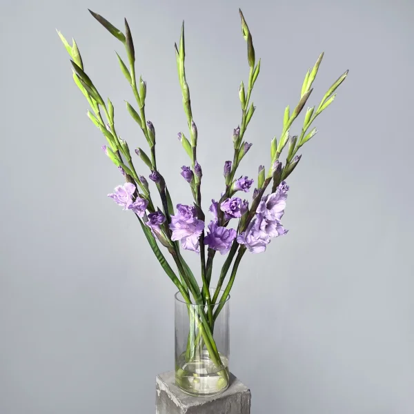 Букет Гладиолус "Милка"_3