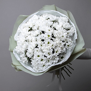 Букет Хризантема кустовая "Шик"