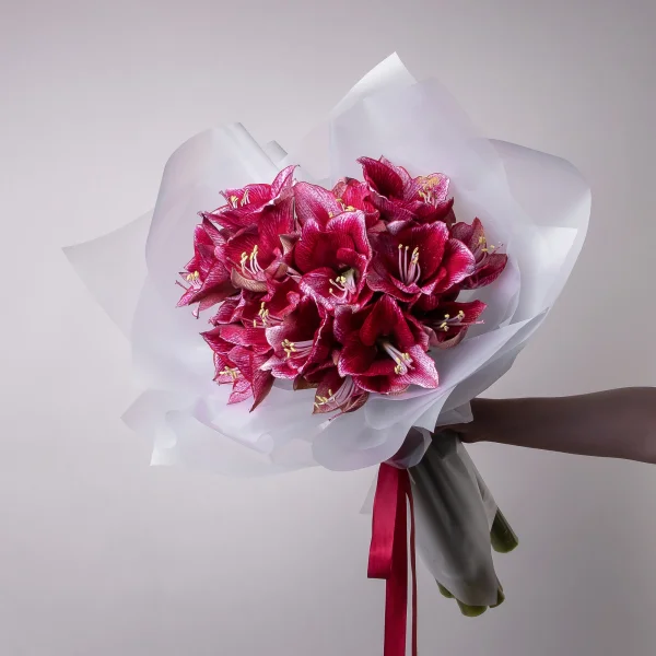 Букет Амариллис "Маэстро"1