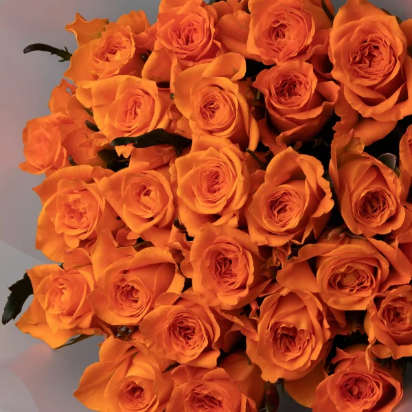 Букет Роза "Белинда"