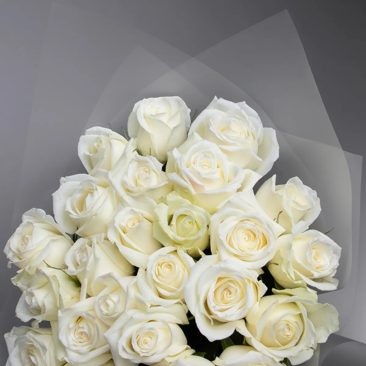 Букет Роза "Айсбрейкер"