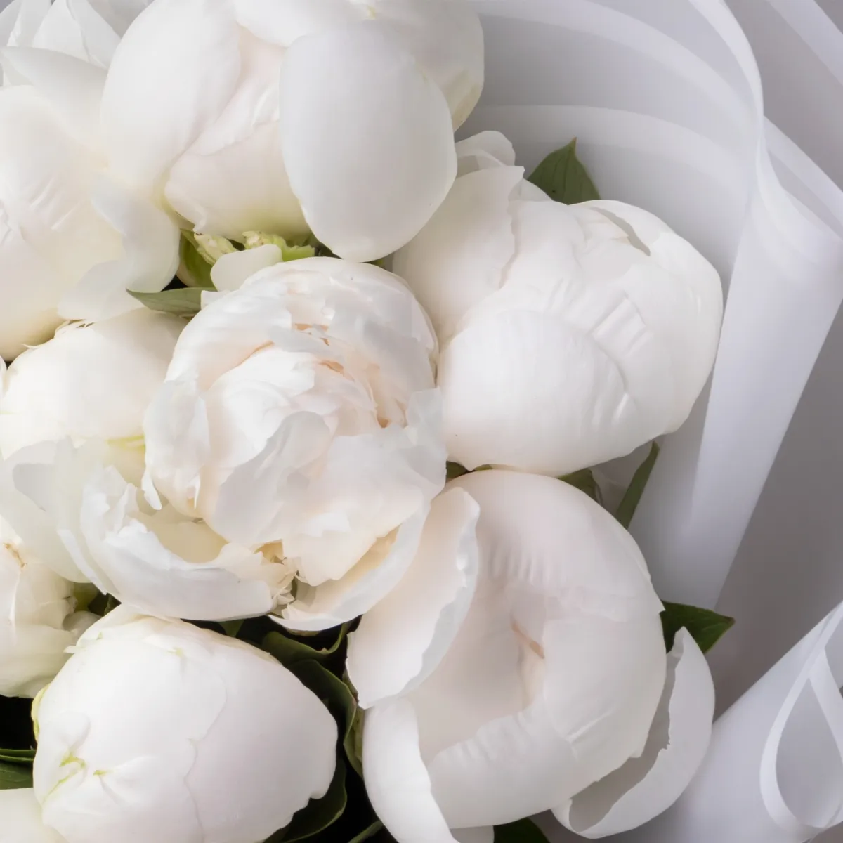 Букет Пион "Клейд Тайн"_4