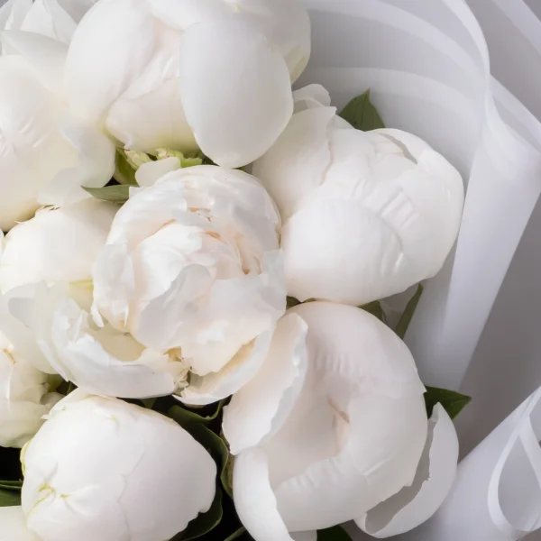 Букет Пион "Клейд Тайн"_4