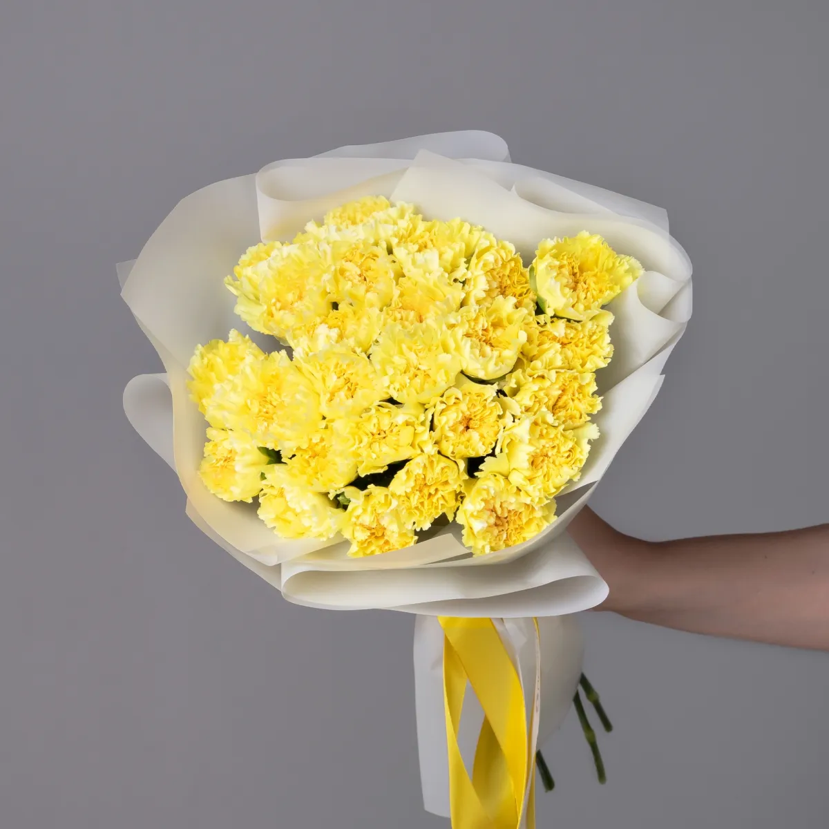 Букет Гвоздика "Сплендор"_1