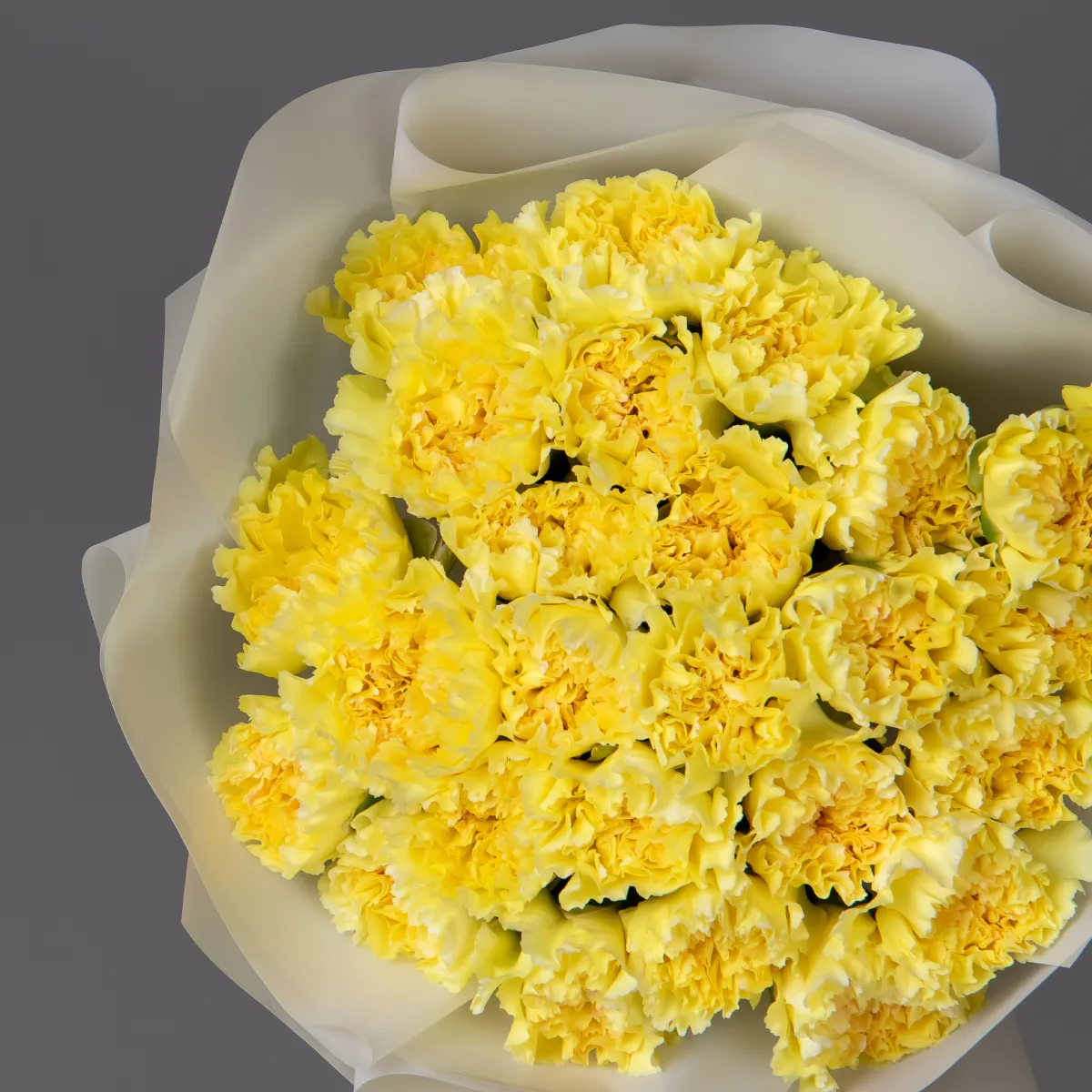 Букет Гвоздика "Сплендор"_2