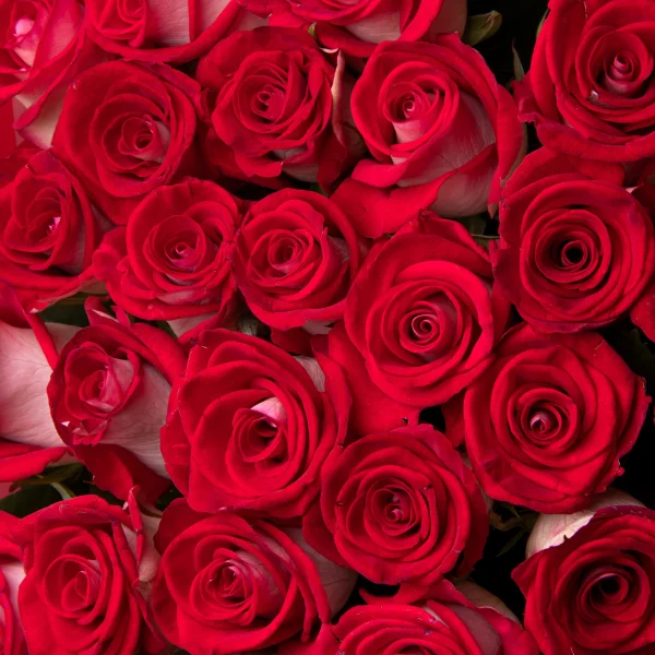 Букет Роза "Блюз"_4