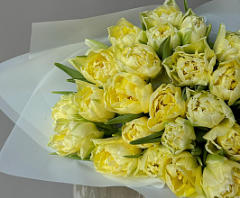 Что такое тюльпаны: описание, виды и особенности цветов