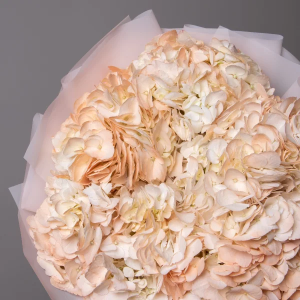 Букет Гидрангия "Пич"_3